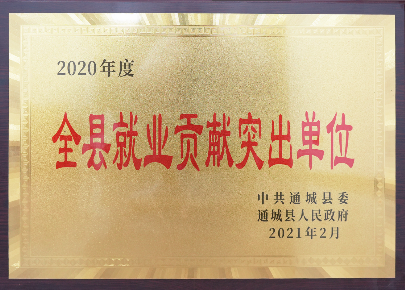 全县就业贡献突出单位