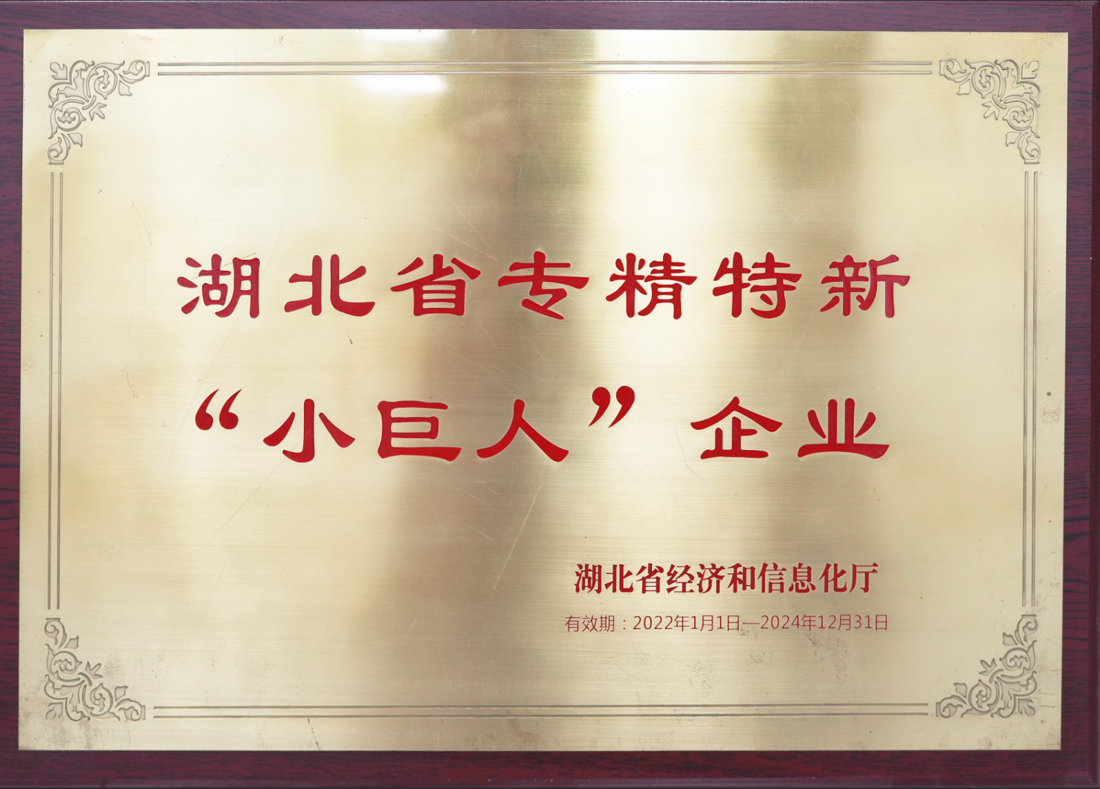 湖北省专精特新“小巨人”企业