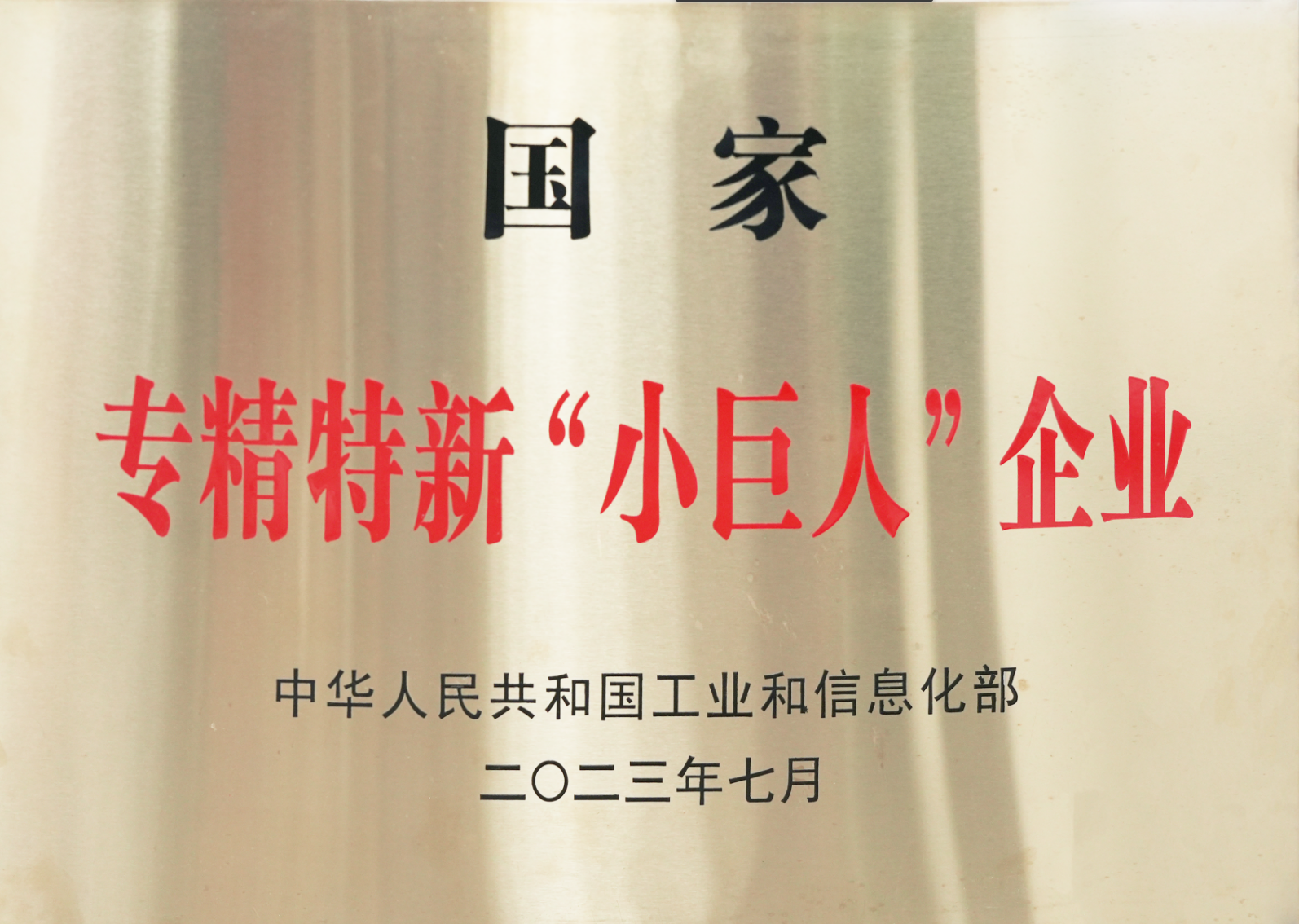 国家级专精特新“小巨人”企业